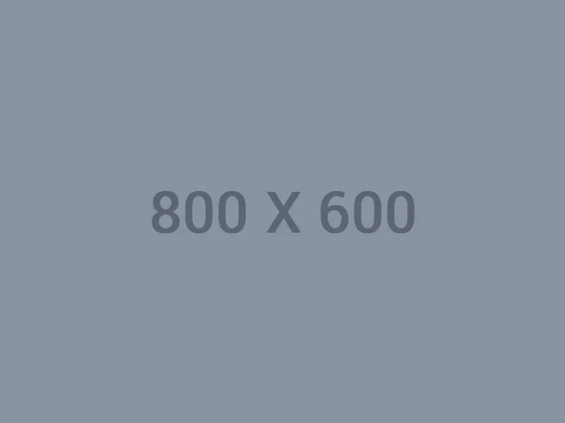 熊猫体育平台